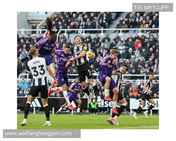 中央海岸与西部联的激烈对决展现足球魅力与团队精神的巅峰之战