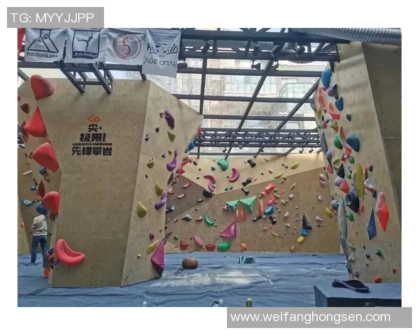 成都攀岩队速度之巅的挑战与成就探秘MBA