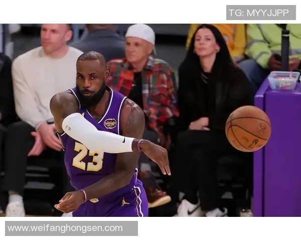 湖人对决猛龙精彩直播回顾与赛后分析尽在此处