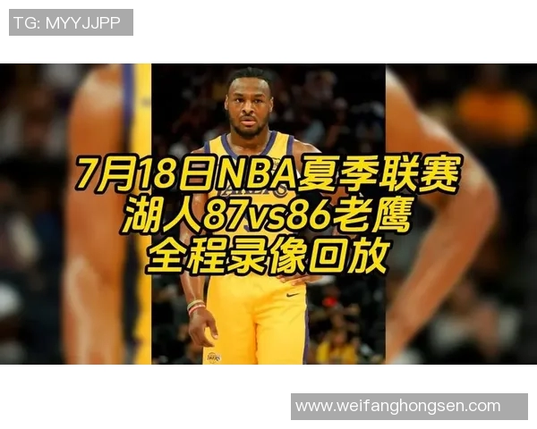 湖人对阵霆队精彩视频直播全程回顾与赛后分析