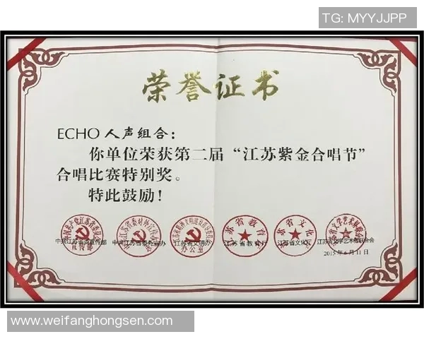 王岚的音乐旅程与人生故事探秘：从初出茅庐到璀璨星途的蜕变与成长