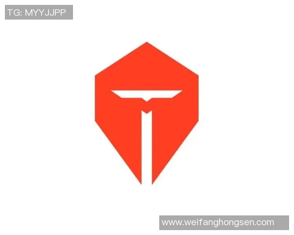 TES战队耐力表现数据分析与赛季表现的深度探讨